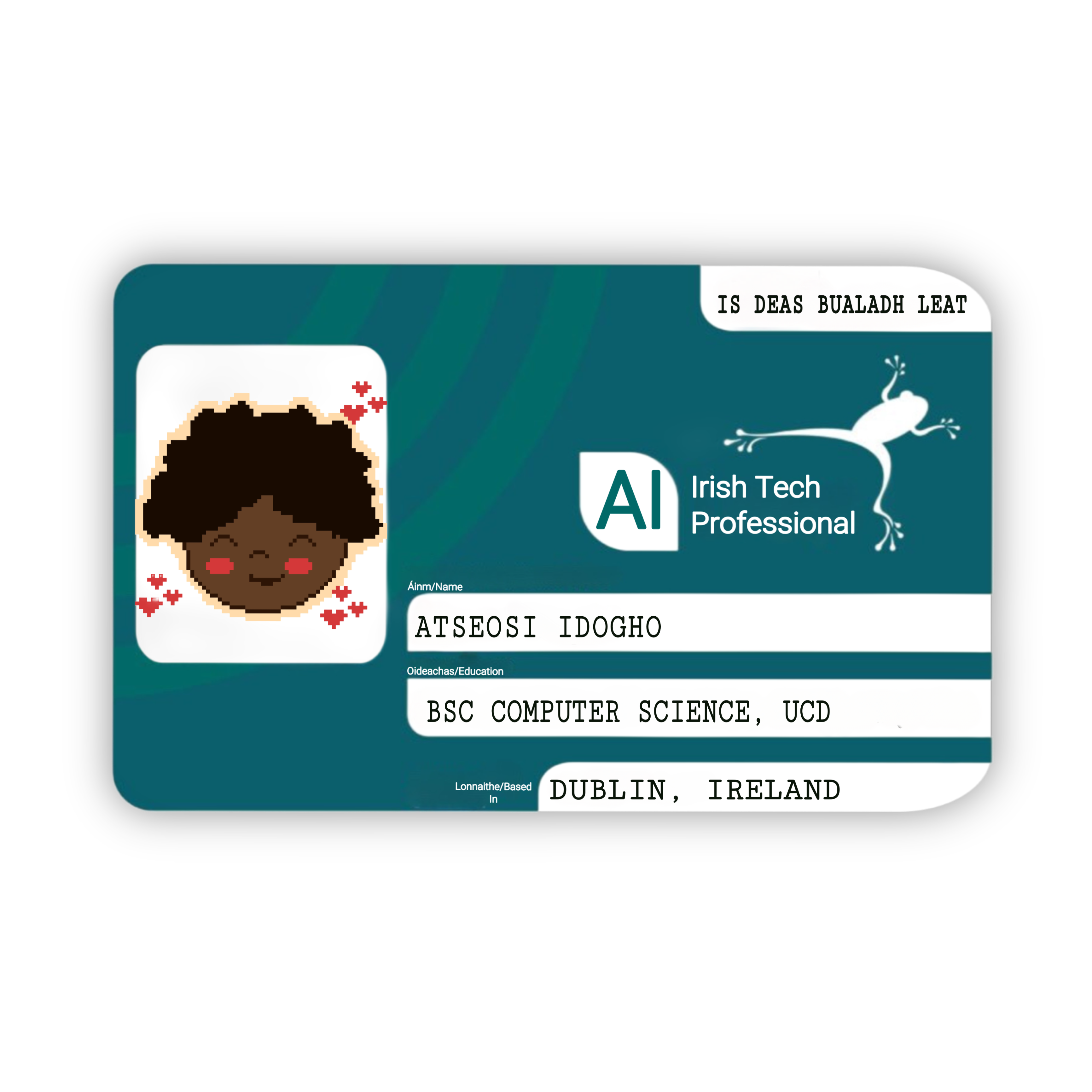 LeapCard about section descriptive image